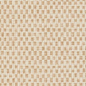 ǎ NX ̂Ȃ TQc TH32849 FAITH tFCX 2022-2025 a n a sR