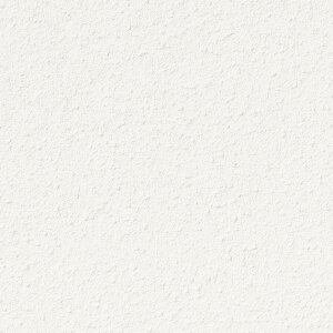 ǎ NX ̂Ȃ TQc TH32864 FAITH tFCX 2022-2025 ]yǎ n Ζڒ h蒲 sR L