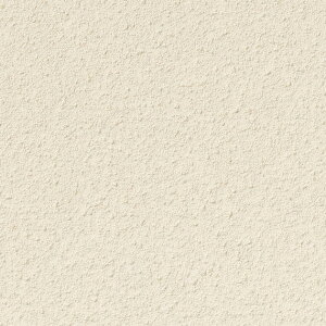 y12/11 01:59܂ŁIő1~OFFP2{zǎ NX ̂Ȃ TQc TH32866 FAITH tFCX 2022-2025 ]yǎ Όn Ζڒ h蒲 sR L