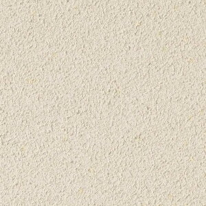 ǎ NX ̂Ȃ TQc TH32867 FAITH tFCX 2022-2025 ]yǎ n Ζڒ h蒲 sR L