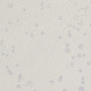 yBF聚ő5000~OFFP2{zǎ NX ̂Ȃ TQc TH32883 FAITH tFCX 2022-2025 p^[ n _[h sR