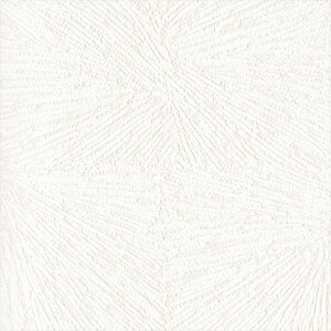 ǎ NX ̂Ȃ J LV-2245 V-wall2024-2027 V zCg VvEx[VbN rjnǎ sR h