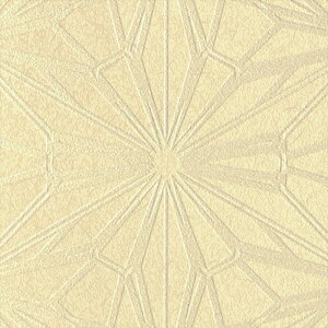 ǎ NX ̂Ȃ J LV-2427 V-wall2024-2027 a x[W a rjnǎ sR h