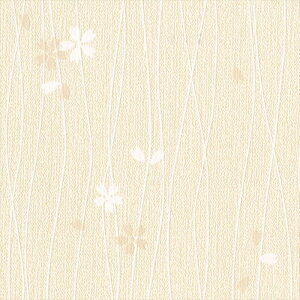 ǎ NX ̂Ȃ J LV-2430 V-wall2024-2027 a x[W a rjnǎ sR h