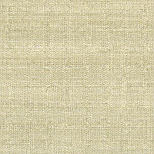 ǎ NX ̂Ȃ J LV-2434 V-wall2024-2027 a x[W a rjnǎ sR h