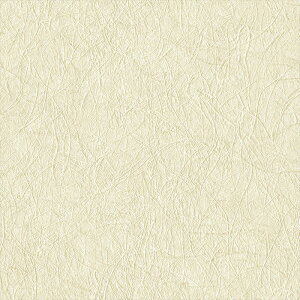 ǎ NX ̂Ȃ J LV-2436 V-wall2024-2027 a x[W a rjnǎ sR h