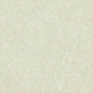 ǎ NX ̂Ȃ J LV-2437 V-wall2024-2027 a O[ a rjnǎ sR h