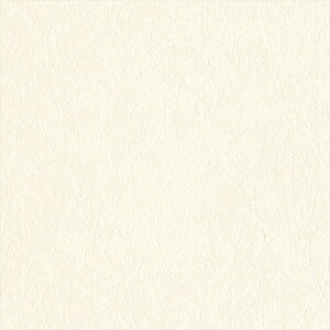 yő500~OFFP2{zǎ NX ̂Ȃ J LV-2439 V-wall2024-2027 a zCg a rjnǎ sR h