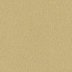 ǎ NX ̂Ȃ J LV-2447 V-wall2024-2027 a x[W a rjnǎ sR h gbvR[g L