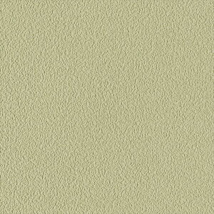 ǎ NX ̂Ȃ J LV-2448 V-wall2024-2027 a O[ a rjnǎ sR h gbvR[g L