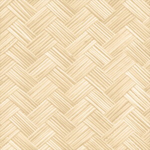 ǎ NX ̂Ȃ J LV-2453 V-wall2024-2027 a x[W a rjnǎ sR h