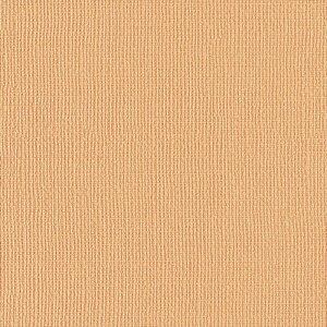 �y�ő�2000�~�N�[�|���z�ǎ� �N���X �̂�Ȃ� �����J�� LV-2623 V-wall2024-2027 ���L air *refre �I�����W �V���v���E�x�[�V�b�N �����r�j�������n�ǎ� ���s�R �h���� �R��