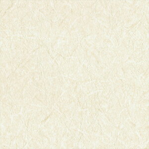 ǎ NX ̂Ȃ J LV-2631 V-wall2024-2027 L air *refre zCg a rjnǎ sR h R