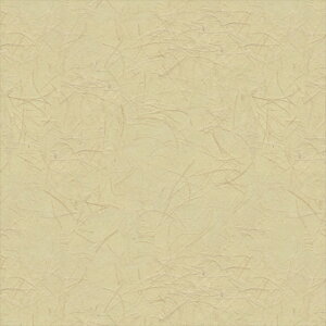 ǎ NX ̂Ȃ VR[ SW30014 wall pro2024-2027 zi GR}[N擾i x[W a nǎ zOa  sR sR h z 