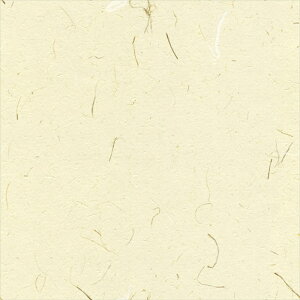 yő500~OFFP2{zǎ NX ̂Ȃ VR[ SW30015 wall pro2024-2027 zi GR}[N擾i zCg a nǎ zOa  sR sR h z 