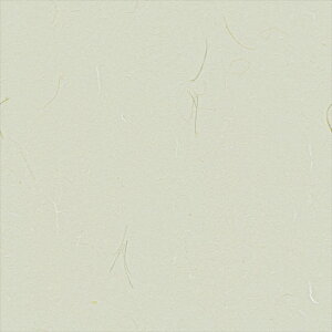 yő500~OFFP2{zǎ NX ̂Ȃ VR[ SW30016 wall pro2024-2027 zi GR}[N擾i O[ a nǎ zOa  sR sR h z 