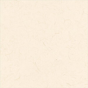 ǎ NX ̂Ȃ VR[ SW30017 wall pro2024-2027 zi GR}[N擾i sN a nǎ zOa W[gE}CJ sR sR h z 