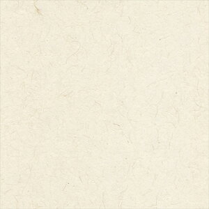 yő500~OFFP2{zǎ NX ̂Ȃ VR[ SW30018 wall pro2024-2027 zi GR}[N擾i zCg a nǎ zOa W[gE}CJ sR sR h z