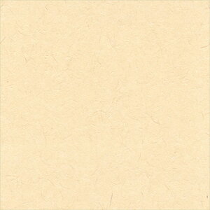 ǎ NX ̂Ȃ VR[ SW30019 wall pro2024-2027 zi GR}[N擾i x[W a nǎ zOa W[gE}CJ sR sR h z 