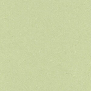 yő500~OFFP2{zǎ NX ̂Ȃ VR[ SW30020 wall pro2024-2027 zi GR}[N擾i O[ a nǎ zOa W[gE}CJ sR sR h z