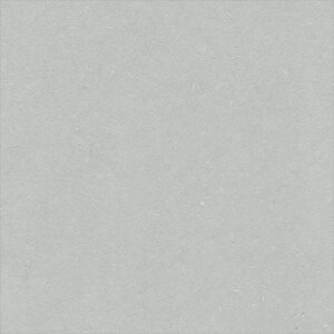 yő500~OFFP2{zǎ NX ̂Ȃ VR[ SW30021 wall pro2024-2027 zi GR}[N擾i O[ a nǎ zOa W[gE}CJ sR sR h z