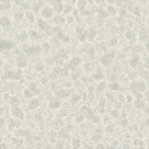 yő500~OFFP2{zǎ NX ̂Ȃ VR[ SW30022 wall pro2024-2027 zi GR}[N擾i O[ a nǎ zOa W[g sR sR h z 