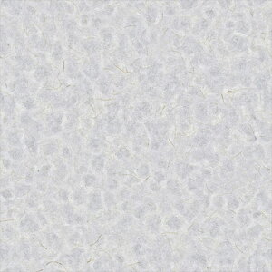 yő500~OFFP2{zǎ NX ̂Ȃ VR[ SW30024 wall pro2024-2027 zi GR}[N擾i O[ a nǎ zOa W[g sR sR h z 