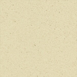 ǎ NX ̂Ȃ VR[ SW30027 wall pro2024-2027 zi ItBǎ GR}[N擾i x[W a ̑ǎ ؕ sR h