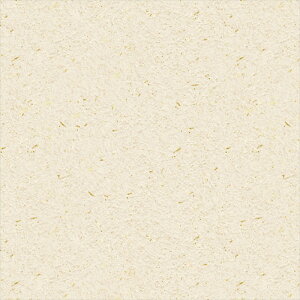 yő500~OFFP2{zǎ NX ̂Ȃ VR[ SW30051 wall pro2024-2027 aE zCg a nǎ zOa mEؕ sR h z 