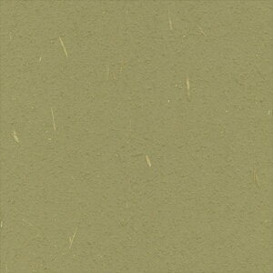 ǎ NX ̂Ȃ VR[ SW30055 wall pro2024-2027 aE J[LO[ a nǎ zOa mEؕ sR h z 