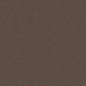 yő500~OFFP2{zǎ NX ̂Ȃ VR[ SW30061 wall pro2024-2027 aE uE a nǎ zOa mEؕ sR h z 