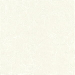 yő500~OFFP2{zǎ NX ̂Ȃ VR[ SW30063 wall pro2024-2027 aE zCg a nǎ B_a sR sR