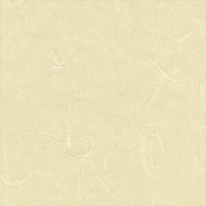 yő500~OFFP2{zǎ NX ̂Ȃ VR[ SW30064 wall pro2024-2027 aE x[W a nǎ B_a sR sR