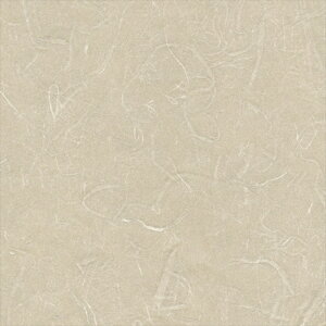 yő500~OFFP2{zǎ NX ̂Ȃ VR[ SW30065 wall pro2024-2027 aE O[ a nǎ B_a sR sR