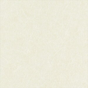 yő500~OFFP2{zǎ NX ̂Ȃ VR[ SW30066 wall pro2024-2027 aE zCg a nǎ sR