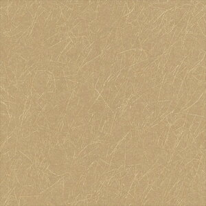 yő500~OFFP2{zǎ NX ̂Ȃ VR[ SW30067 wall pro2024-2027 aE x[W a nǎ sR