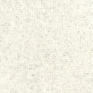 yő500~OFFP2{zǎ NX ̂Ȃ VR[ SW30069 wall pro2024-2027 aE zCg a @nǎ }CJ×sDz sR sR