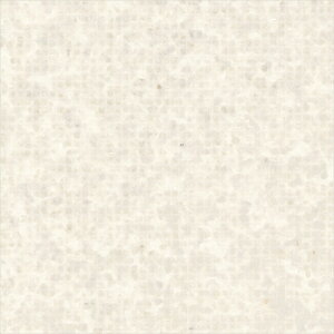 yő500~OFFP2{zǎ NX ̂Ȃ VR[ SW30070 wall pro2024-2027 aE zCg a @nǎ }CJ×sDz sR sR