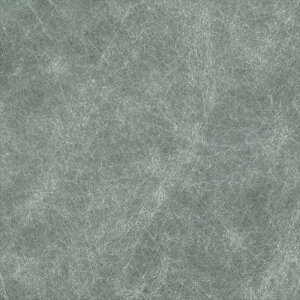 yő500~OFFP2{zǎ NX ̂Ȃ VR[ SW30073 wall pro2024-2027 aE O[ a @یnǎ sR