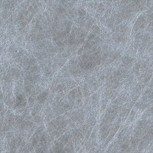 ǎ NX ̂Ȃ VR[ SW30074 wall pro2024-2027 aE u[ a @یnǎ sR