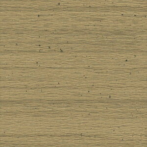 ǎ NX ̂Ȃ VR[ SW30075 wall pro2024-2027 aE S[h a nǎ Bha sR sR