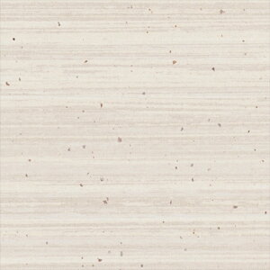 ǎ NX ̂Ȃ VR[ SW30076 wall pro2024-2027 aE zCg a nǎ Bha sR sR