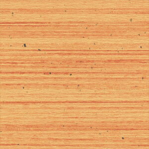 yő500~OFFP2{zǎ NX ̂Ȃ VR[ SW30078 wall pro2024-2027 aE IW a nǎ Bha sR sR