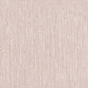 yő500~OFFP2{zǎ NX ̂Ȃ VR[ SW30079 wall pro2024-2027 aE sN a nǎ B_a sR sR