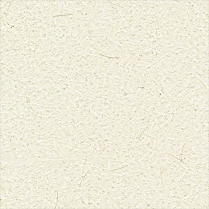 yő500~OFFP2{zǎ NX ̂Ȃ VR[ SW30086 wall pro2024-2027 aE zCg a nǎ zOa [EؕETCU sR sR h z 