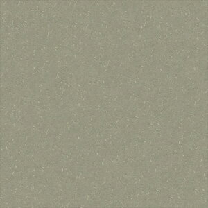 yő500~OFFP2{zǎ NX ̂Ȃ VR[ SW30090 wall pro2024-2027 aE J[LO[ a nǎ zOa Y sR sR h L z 