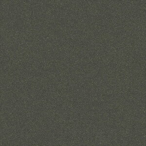 yő500~OFFP2{zǎ NX ̂Ȃ VR[ SW30203 wall pro2024-2027 ӂ܂f ubN a nǎ ؕEm sR sR z 