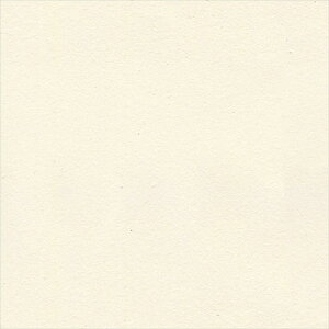 ǎ NX ̂Ȃ VR[ SW30204 wall pro2024-2027 ӂ܂f zCg VvEx[VbNEi` @nǎ ]y sR sR 