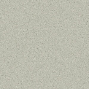 ǎ NX ̂Ȃ VR[ SW30214 wall pro2024-2027 ӂ܂f O[ VvEx[VbNEi` @nǎ ΁E]y sR sR 