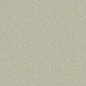 yBF聚ő5000~OFFP2{zǎ NX ̂Ȃ VR[ SW30215 wall pro2024-2027 ӂ܂f O[ VvEx[VbNEi` @nǎ ΁E]y sR sR 